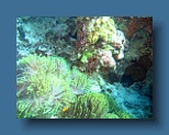 Helengeli 194